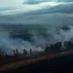 São Paulo sofre com onda de incêndios e 48 cidades estão em alerta para queimadas 