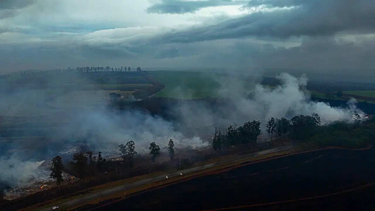 São Paulo sofre com onda de incêndios e 48 cidades estão em alerta para queimadas 