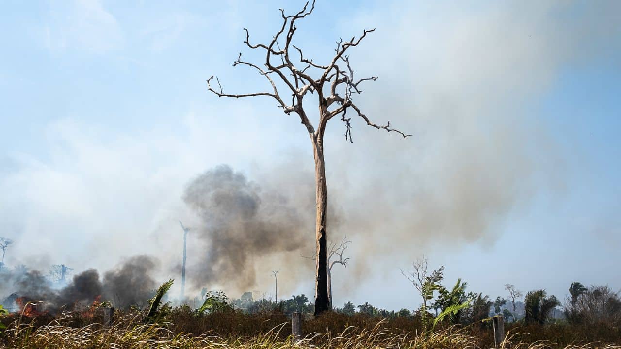 Proposta ambiciosa busca alinhar metas brasileiras ao Acordo de Paris, enquanto o país enfrenta desafios para conter emissões e preservar o meio ambiente.