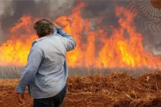 Homem observa incêndio em plantação de cana-de-açúcar (JOEL SILVA/Reuters/noticias.uol.com.br)