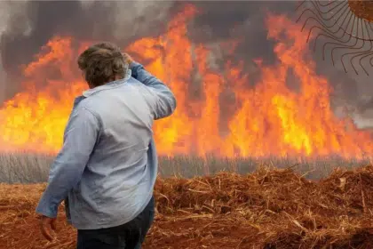 Homem observa incêndio em plantação de cana-de-açúcar (JOEL SILVA/Reuters/noticias.uol.com.br)