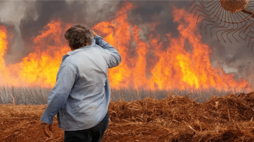 Homem observa incêndio em plantação de cana-de-açúcar (JOEL SILVA/Reuters/noticias.uol.com.br)