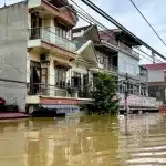 O tufão Yagi, rebaixado para depressão tropical no último domingo, devastou regiões do Vietnã, China e Filipinas, deixando dezenas de mortos e centenas de desaparecidos.