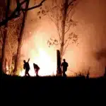 Todo o estado de SP está passando por uma onda de forte calor, além de diversos pontos de queimadas e baixa umidade