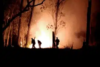 Todo o estado de SP está passando por uma onda de forte calor, além de diversos pontos de queimadas e baixa umidade