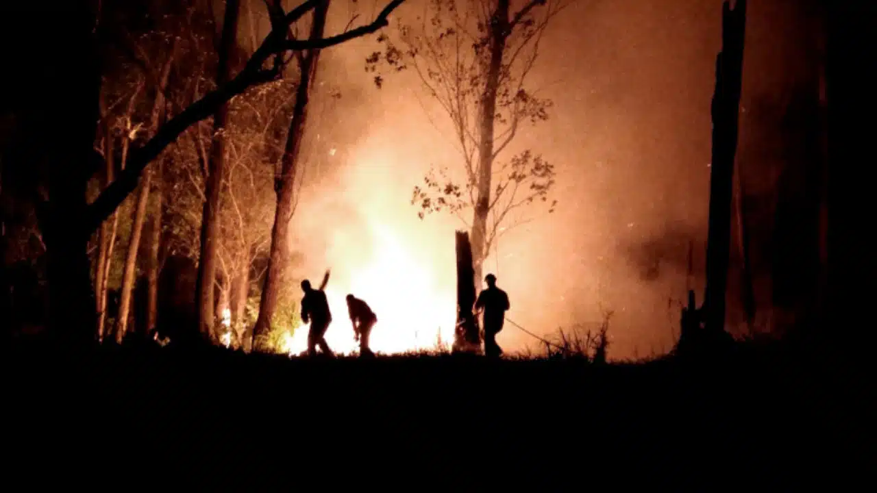 Todo o estado de SP está passando por uma onda de forte calor, além de diversos pontos de queimadas e baixa umidade