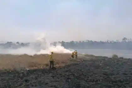 Brigadistas combatendo incêndio em área de vegetação próxima à Lagoa da Serra no Tocantins