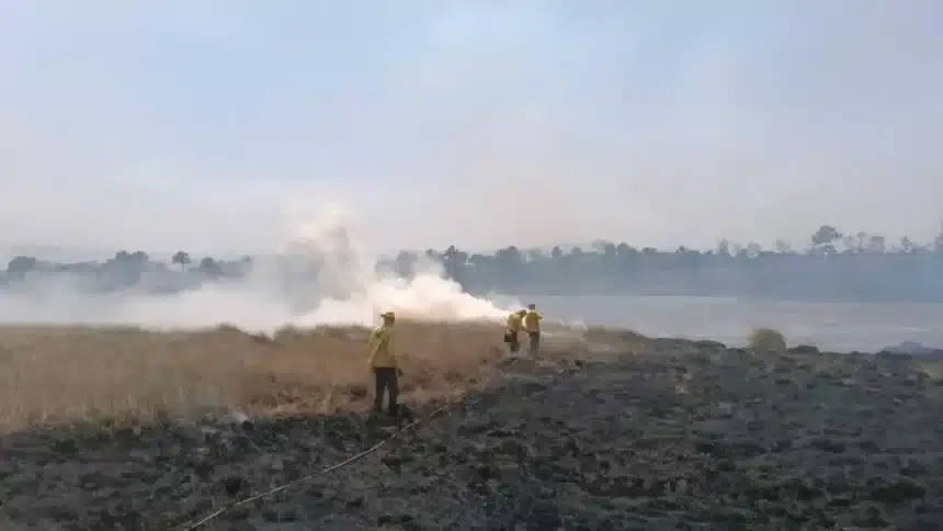 Brigadistas combatendo incêndio em área de vegetação próxima à Lagoa da Serra no Tocantins