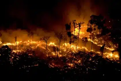 Incêndio Florestal à noite com Chamas intensas e Fumaça