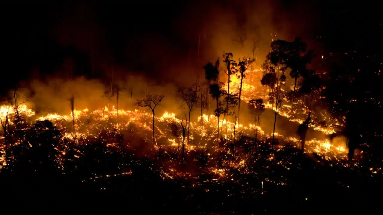 Incêndio Florestal à noite com Chamas intensas e Fumaça