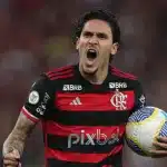 Pedro do Flamengo