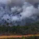 Incêndio na Amazônia