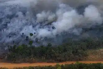 Incêndio na Amazônia