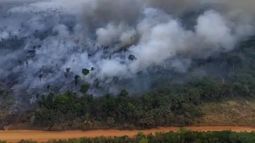 Incêndio na Amazônia