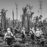 Amazônia registra pior agosto para queimadas em 26 anos