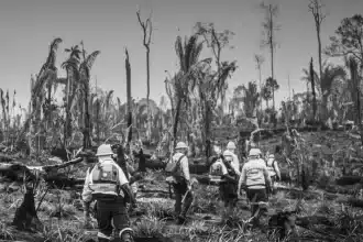 Amazônia registra pior agosto para queimadas em 26 anos