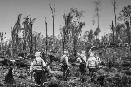 Amazônia registra pior agosto para queimadas em 26 anos