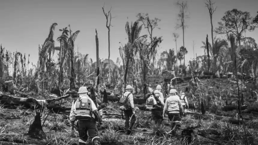 Amazônia registra pior agosto para queimadas em 26 anos