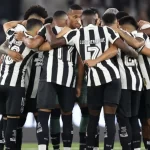 Elenco do Botafogo