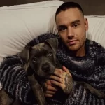 Antes de morrer, Liam Payne havia consumido droga potente, afirma autoridades argentinas