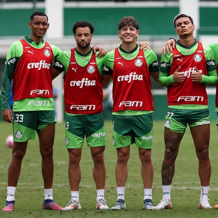 Palmeiras busca participação na Copa do Brasil