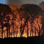 Foto destaque: Incêndio em Brooklyn (reprodução/X/@FDNY)