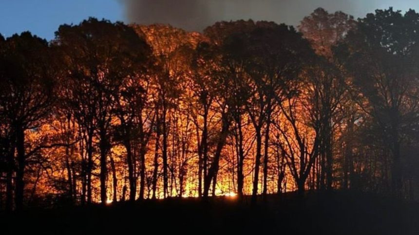 Foto destaque: Incêndio em Brooklyn (reprodução/X/@FDNY)