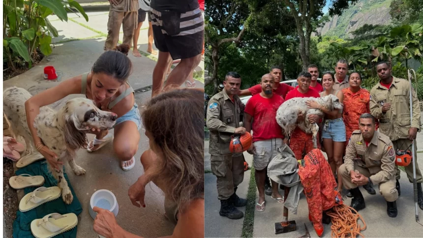 Anitta e Charlie e o corpo de Bombeiros.