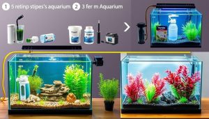 Como montar um aquário para iniciantes: passo a passo