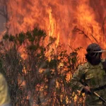 Inpe: Brasil teve mais de 278 mil focos de incêndio em 2024