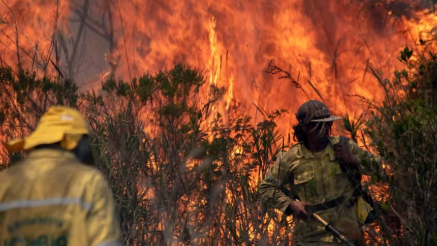 Inpe: Brasil teve mais de 278 mil focos de incêndio em 2024