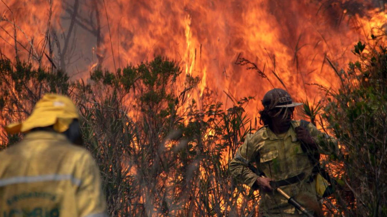 Inpe: Brasil teve mais de 278 mil focos de incêndio em 2024