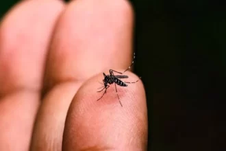 Minas Gerais registrou as primeiras mortes por dengue em 2025