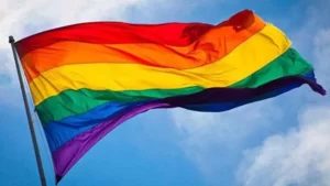 STF estende a lei Maria da Penha para casais homoafetivos