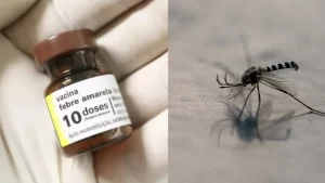 São Paulo confirma o primeiro caso da febre amarela