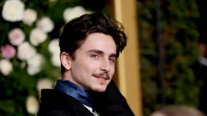 Timothée Chalamet Bob Dylan Globo de Ouro