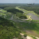 Imagem da Folresta Amazônica