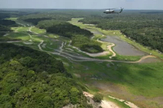 Imagem da Folresta Amazônica