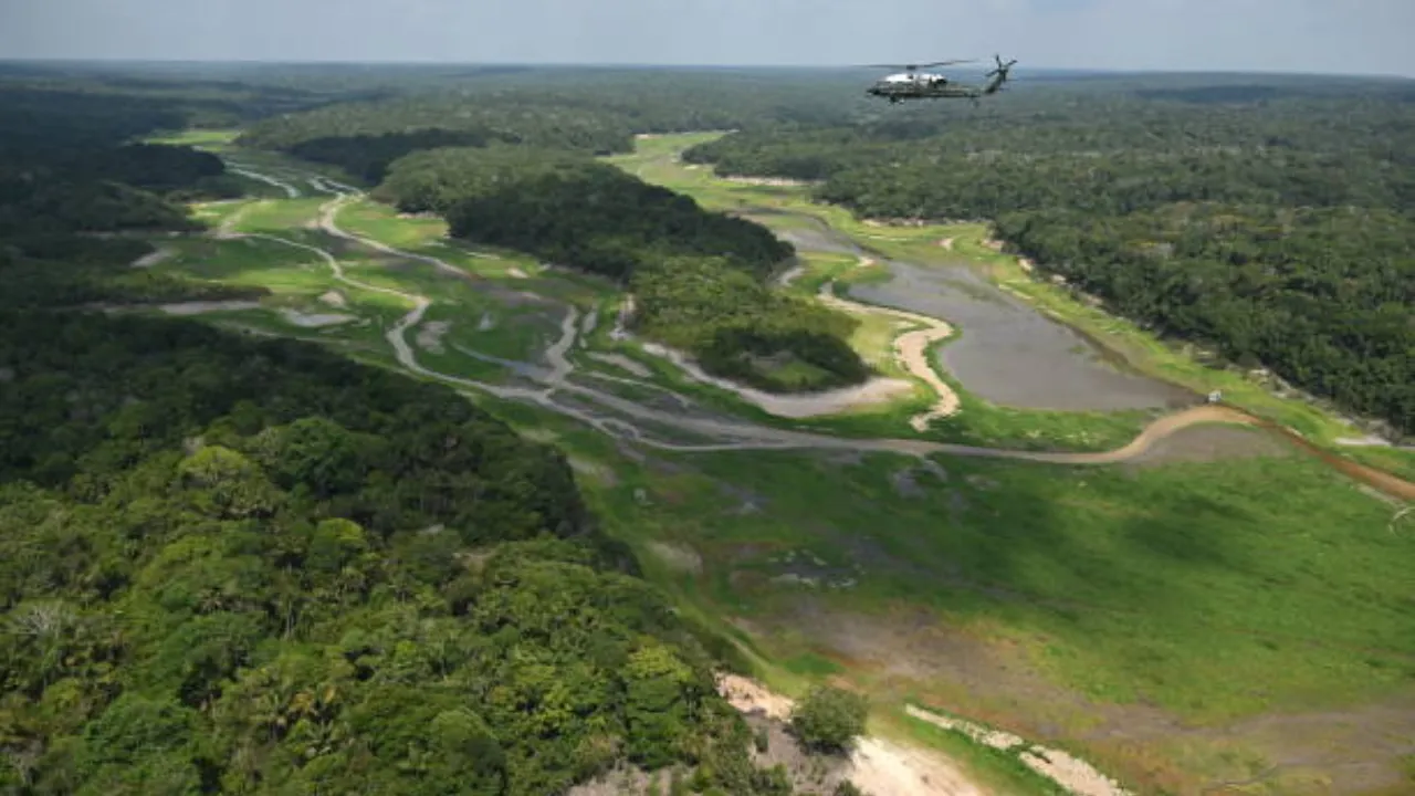 Imagem da Folresta Amazônica