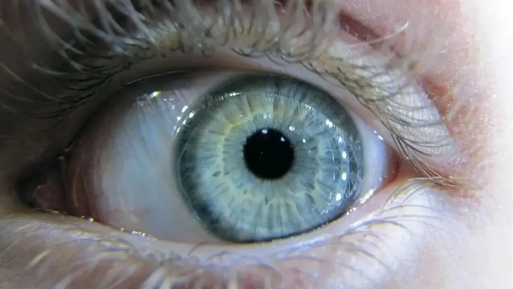 Escaneamento de íris é suspenso no Brasil