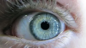 Escaneamento de íris é suspenso no Brasil