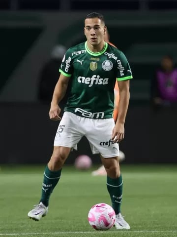 Fabinho jogando pelo Palmeiras