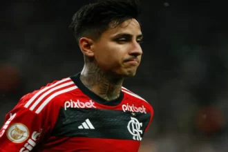 Erick Pulgar, meia do Flamengo