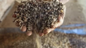 Governo retira impostos sobre alimentos para tentar reduzir preços