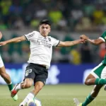 Jogadores de Botafogo e Palmeiras em campo no jogo do brasileirão