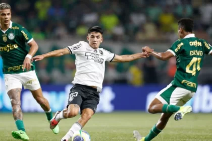 Jogadores de Botafogo e Palmeiras em campo no jogo do brasileirão