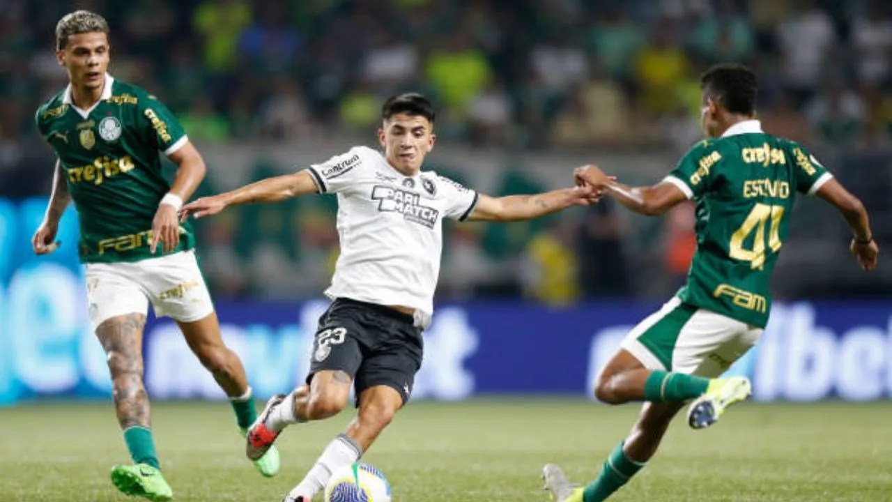 Jogadores de Botafogo e Palmeiras em campo no jogo do brasileirão