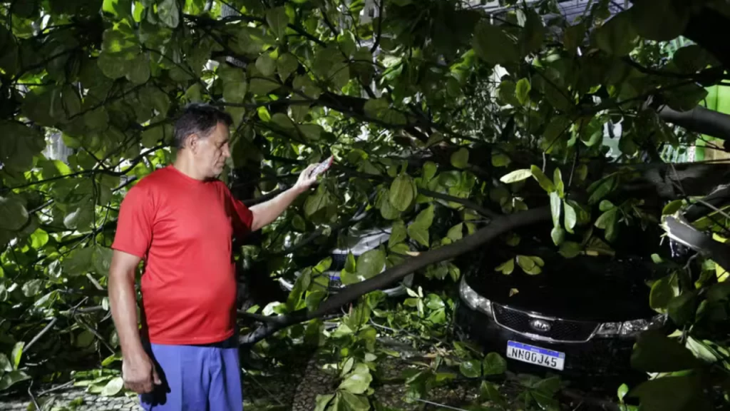 Trabalhador se livra de acidente com árvore