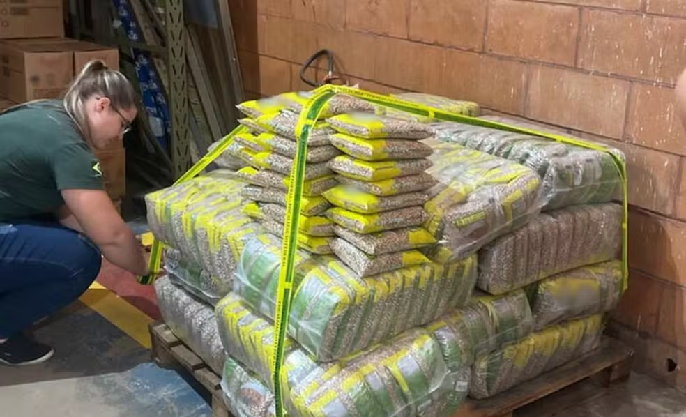 SP: Governo apreende 32t de arroz e feijão fora do padrão SP: Governo apreende 32t de arroz e feijão fora do padrão