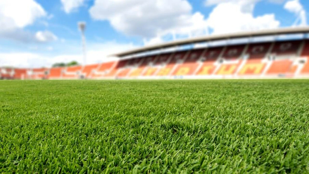 Futebol hoje: descubra quem entra em campo e onde assistir 